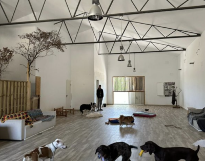 Kalma | Residencia y Guardería Canina en la naturaleza